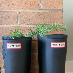 Hunter Classic Tall Boots/W 10/Black